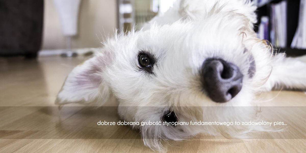 Jak dobrać grubość styropianu do ocieplenia