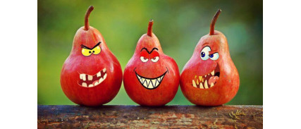 Wełna mineralna gryzie? Znamy rozwiązania!